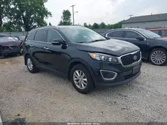 5XYPG4A36GG087482 2016 KIA SORENTO