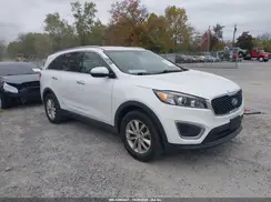 5XYPG4A36GG118052 2016 KIA SORENTO