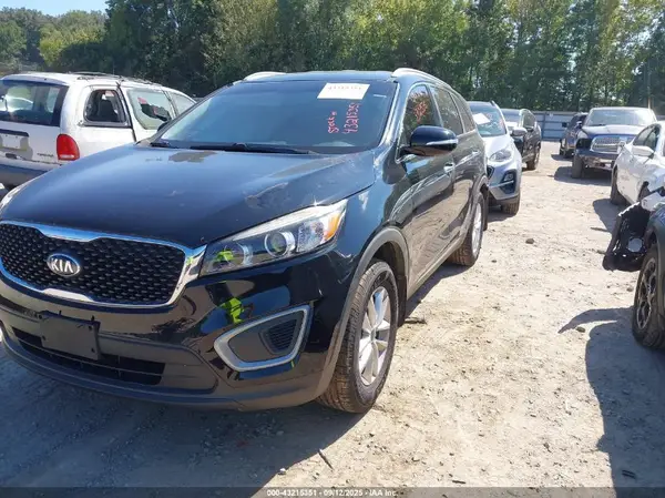 5XYPG4A36GG140794 2016 KIA SORENTO - Image 2