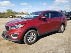 5XYPG4A36HG247300 2017 KIA SORENTO
