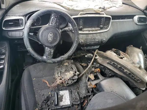 5XYPG4A36HG253663 2017 KIA SORENTO - Image 8
