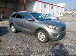 5XYPG4A36HG273055 2017 KIA SORENTO
