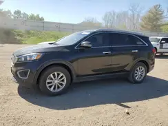 5XYPG4A36HG283875 2017 KIA SORENTO