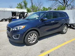 5XYPG4A36HG335389 2017 KIA SORENTO