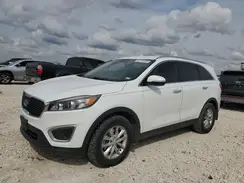 5XYPG4A36JG418391 2018 KIA SORENTO