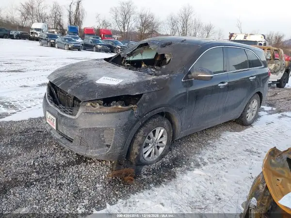 5XYPG4A36KG517679 2019 KIA SORENTO - Image 2