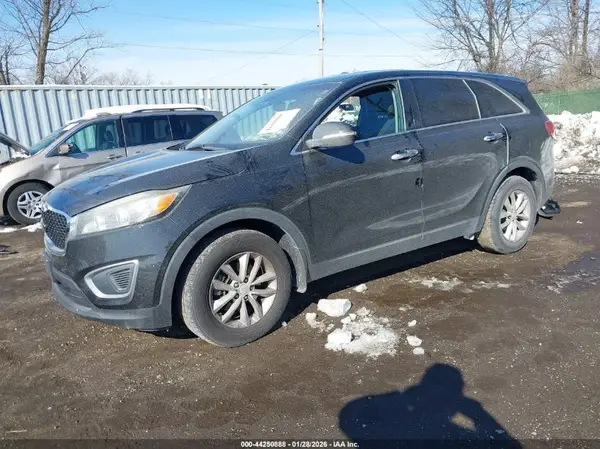 5XYPG4A37GG006604 2016 KIA SORENTO - Image 2