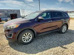 5XYPG4A37GG045628 2016 KIA SORENTO