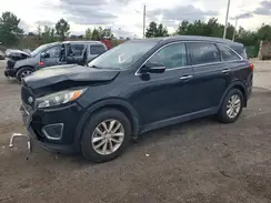 5XYPG4A37GG065880 2016 KIA SORENTO