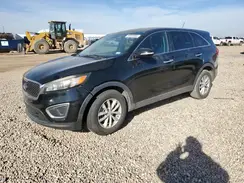 5XYPG4A37GG115404 2016 KIA SORENTO
