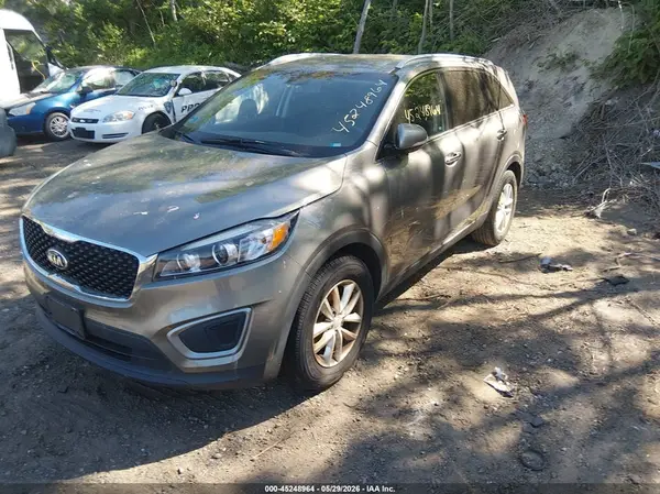 5XYPG4A37GG118934 2016 KIA SORENTO - Image 2