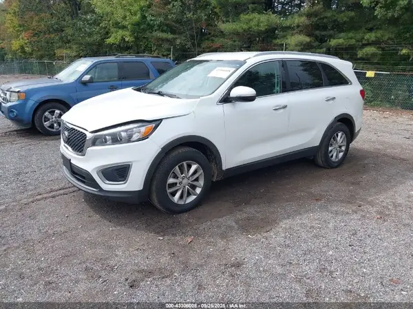 5XYPG4A37GG126483 2016 KIA SORENTO - Image 2