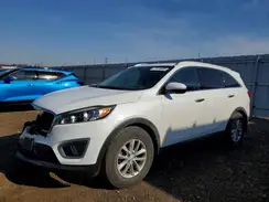 5XYPG4A37HG192131 2017 KIA SORENTO