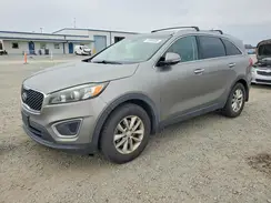 5XYPG4A37HG262565 2017 KIA SORENTO