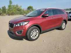 5XYPG4A37HG263537 2017 KIA SORENTO