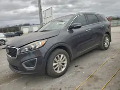 5XYPG4A37HG298126 2017 KIA SORENTO