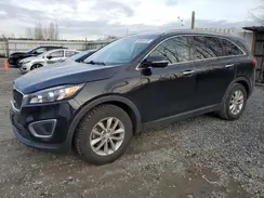 5XYPG4A38GG003016 2016 KIA SORENTO