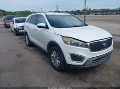 5XYPG4A38GG026649 2016 KIA SORENTO