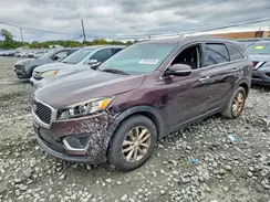 5XYPG4A38GG028479 2016 KIA SORENTO