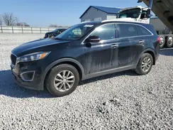 5XYPG4A38HG320795 2017 KIA SORENTO