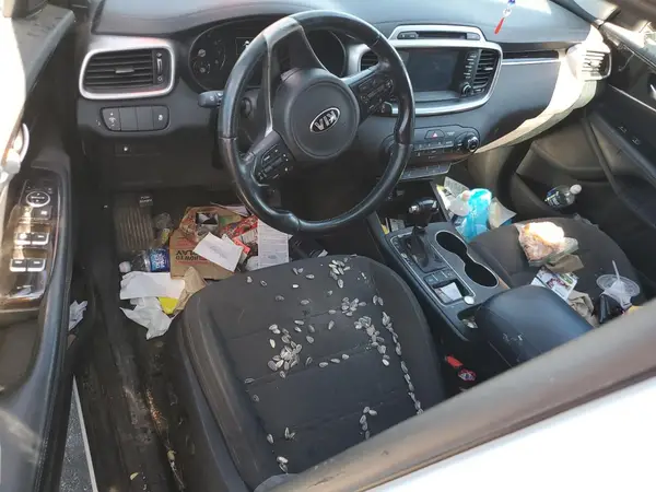 5XYPG4A38JG381814 2018 KIA SORENTO - Image 8