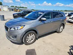 5XYPG4A39GG116280 2016 KIA SORENTO