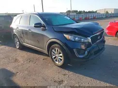 5XYPG4A39GG118563 2016 KIA SORENTO