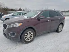 5XYPG4A39HG202089 2017 KIA SORENTO