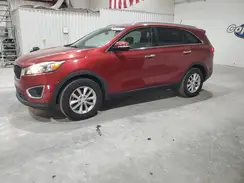 5XYPG4A39HG214081 2017 KIA SORENTO