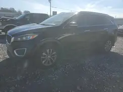 5XYPG4A39HG265404 2017 KIA SORENTO