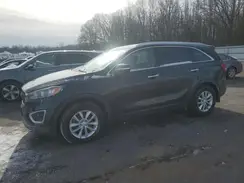 5XYPG4A39HG301267 2017 KIA SORENTO