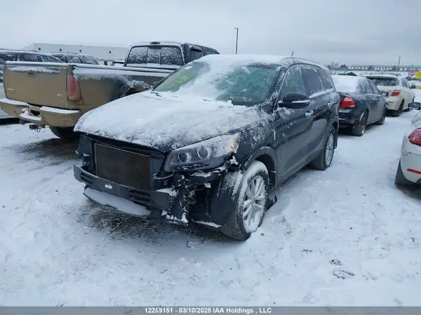 5XYPG4A39JG344836 2018 KIA SORENTO - Image 2