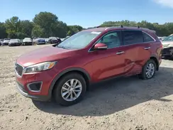 5XYPG4A3XGG061953 2016 KIA SORENTO