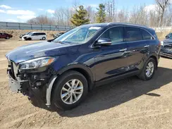 5XYPG4A3XHG287203 2017 KIA SORENTO