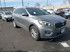 5XYPG4A3XJG423920 2018 KIA SORENTO