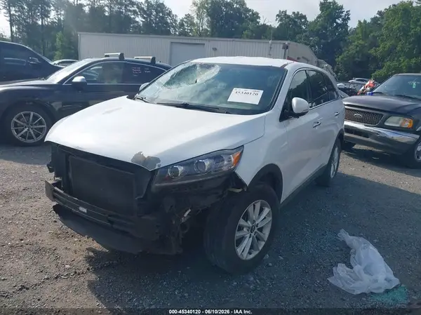 5XYPG4A3XKG464226 2019 KIA SORENTO - Image 2