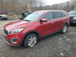 5XYPG4A50GG107520 2016 KIA SORENTO