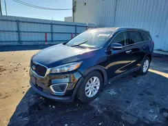 5XYPG4A50GG177163 2016 KIA SORENTO