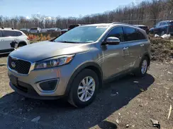 5XYPG4A51HG285616 2017 KIA SORENTO