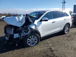 5XYPG4A51LG616073 2020 KIA SORENTO