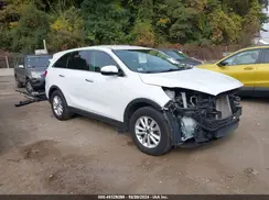 5XYPG4A51LG624013 2020 KIA SORENTO