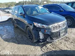 5XYPG4A51LG652393 2020 KIA SORENTO