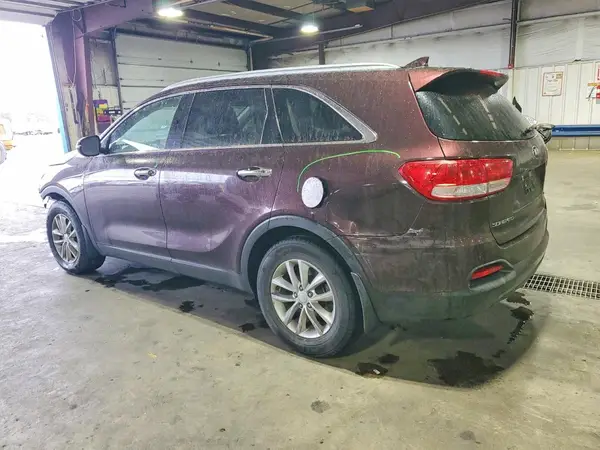 5XYPG4A52GG049992 2016 KIA SORENTO - Image 2