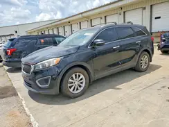 5XYPG4A52GG113822 2016 KIA SORENTO
