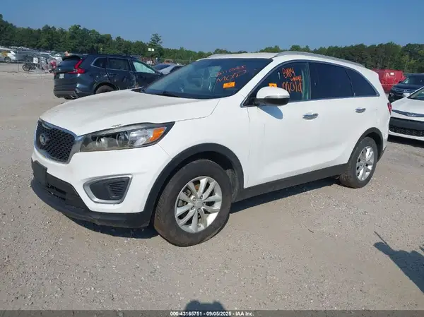 5XYPG4A52GG135996 2016 KIA SORENTO - Image 2