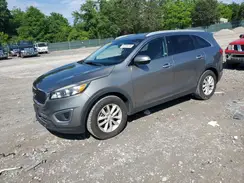5XYPG4A52HG189803 2017 KIA SORENTO