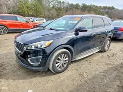 5XYPG4A52HG218524 2017 KIA SORENTO