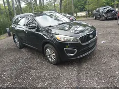 5XYPG4A52HG228423 2017 KIA SORENTO