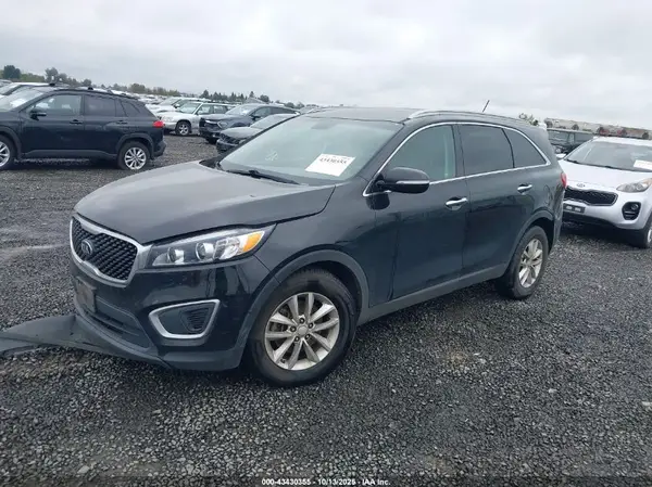 5XYPG4A53GG169672 2016 KIA SORENTO - Image 2
