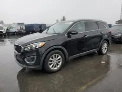 5XYPG4A54GG011356 2016 KIA SORENTO